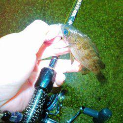 雨ばっかりやん